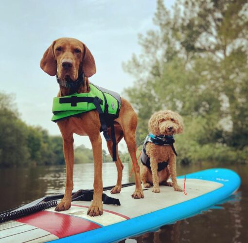 SUP hire Shrewsbury River Severn Paddleboarding