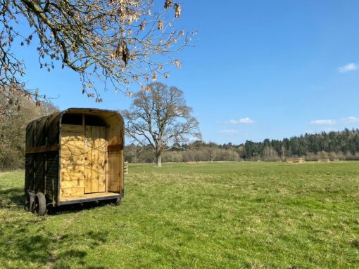 Wild Campsite Toilet Trailer