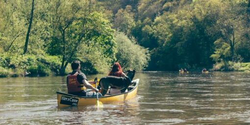 Hire a Canoe Doggy Paddle Dog Friendly Canoeing River Severn