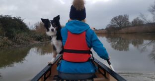 Vanlife Festival UK Doggy Paddle