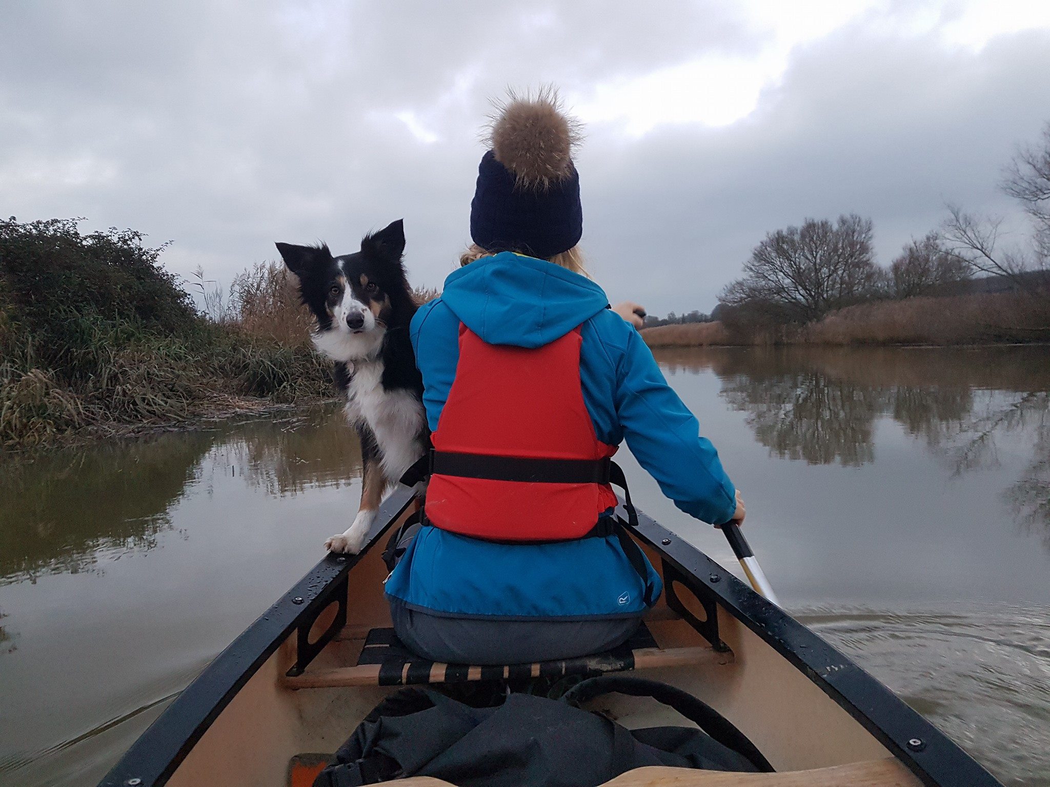 Dog in Canoe