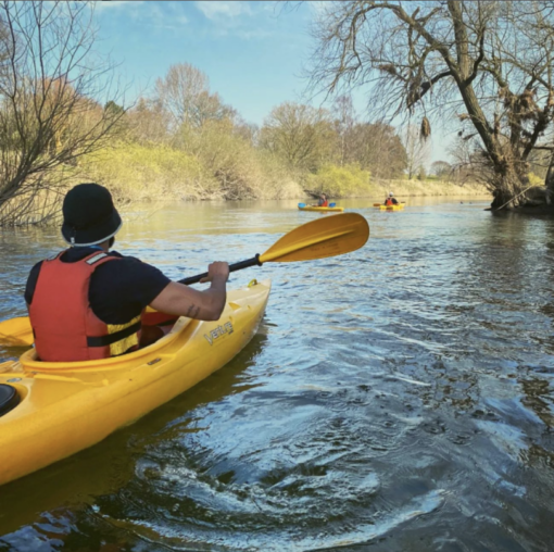 Yellow Venture Flex single kayaks Shropshire kayaking Shrewsbury kayak hire