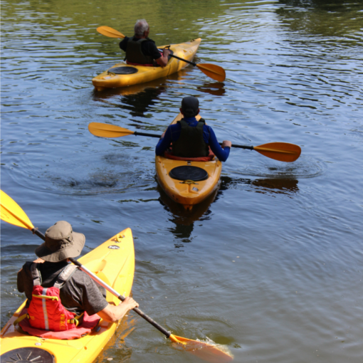 Kayak Hire On The River Severn