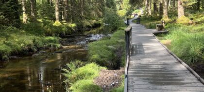 Source to Sea: My Nine Days on the River Severn